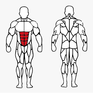 Músculos trabalhados no Abdominal Máquina