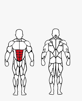 Músculos trabalhados no Abdominal Máquina
