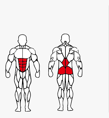 Músculos trabalhados no Abdominal/Lombar Máquina