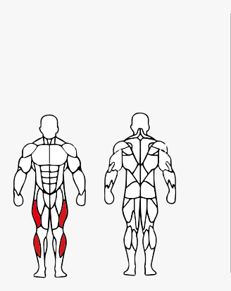 Músculos trabalhados no Máquina Flexão de Perna Deitada