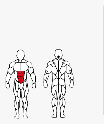 Músculos trabalhados no Banco Abdominal Regulavél