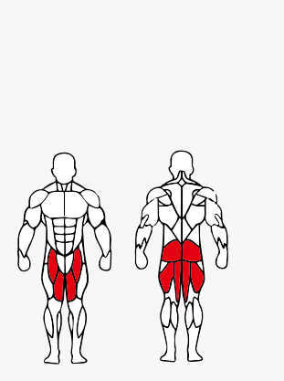 Músculos trabalhados no Leg Press Vertical 90° Graus Articulado