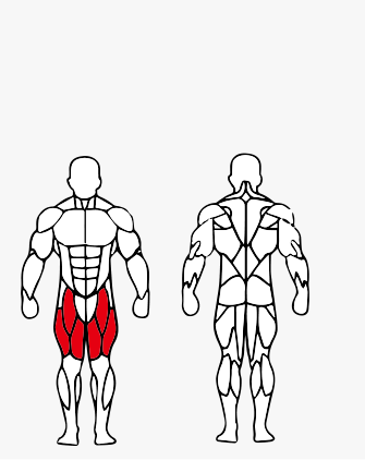 Músculos trabalhados no Cadeira Extensora