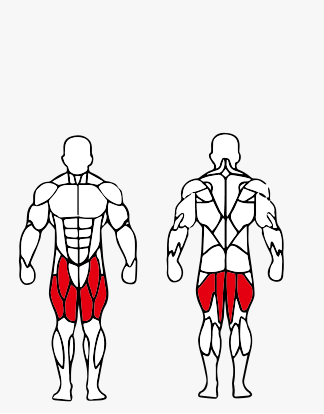 Músculos trabalhados no Cadeira Extensora / Flexora Sentada (Conjugada)