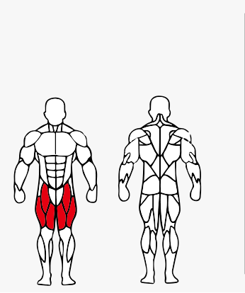Músculos trabalhados no Apolete Máquina
